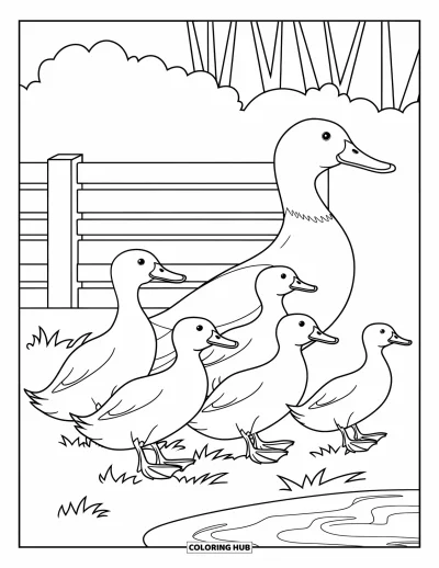 Coloriage d'animaux de la ferme pour enfants : Des canards suivent leur mère sur l'herbe près d'un étang avec des arbres et une clôture
