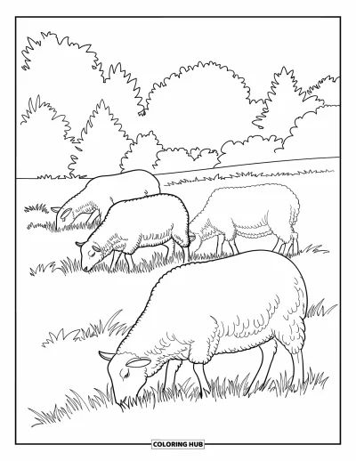 Coloriage d'animaux de la ferme pour enfants : Des moutons paissent dans un pré avec des arbres se dressant doucement en arrière-plan