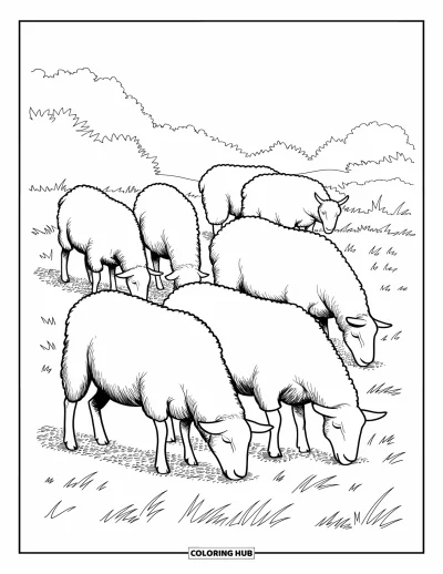 Coloriage d'animaux de la ferme pour enfants : Des moutons paissent paisiblement dans un pré avec des arbres au loin