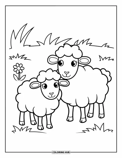 Coloriage d'animaux de la ferme pour enfants : Deux moutons duveteux se tiennent sur l'herbe avec une petite fleur à proximité