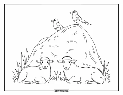 Coloriage d'animaux de la ferme pour enfants : Deux moutons se reposent près d'un gros rocher avec deux oiseaux perchés dessus