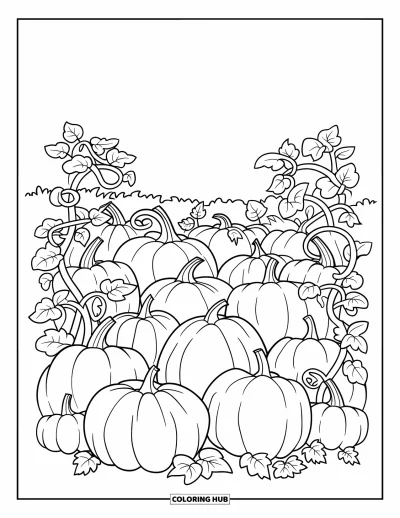 Coloriage de ferme pour enfants : Un charmant champ de citrouilles avec des lianes fleuries et des citrouilles éparpillées