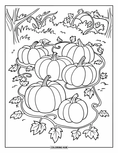 Coloriage de ferme pour enfants : Un champ de citrouilles chaleureux avec des lianes feuillues et un ciel clair