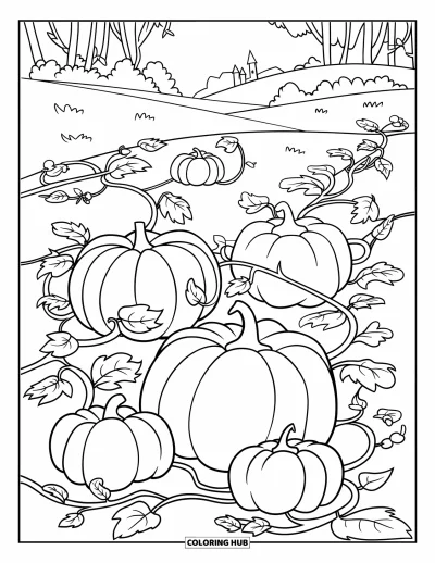 Coloriage de ferme pour enfants : Un champ de citrouilles aux lianes sinueuses et aux citrouilles de toutes tailles