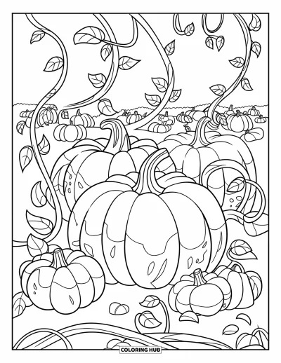 Coloriage de ferme pour enfants : Un champ de citrouilles rustique avec des lianes torsadées et une grande variété de citrouilles