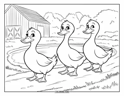 Coloriage de ferme pour enfants : Un trio de canards fait une promenade tranquille près d'un étang couvert de nénuphars
