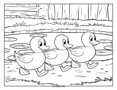 Coloriage de ferme pour enfants : Trois canards se dandinent près d'un étang paisible entouré de hautes herbes