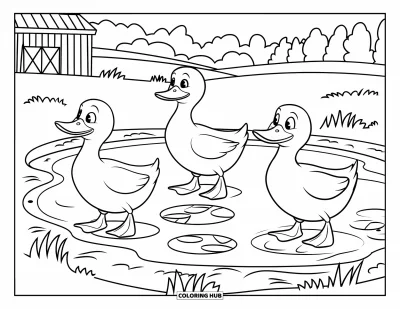 Coloriage de ferme pour enfants : Trois canards amicaux explorent l'étang de la ferme en quête d'aventure