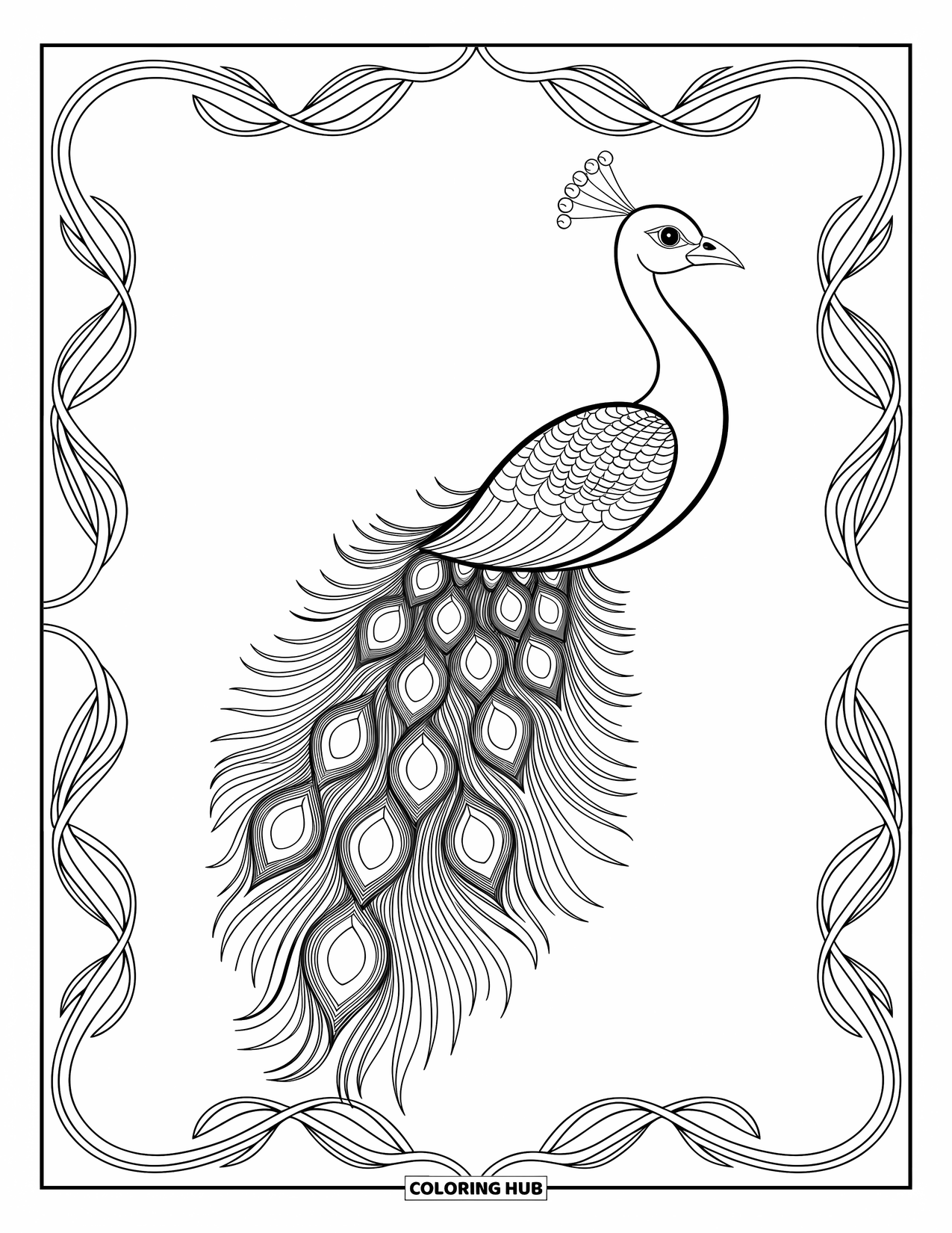 Feather Coloring Page for Adults: A peacock feather with concentric lines and ornate patterns