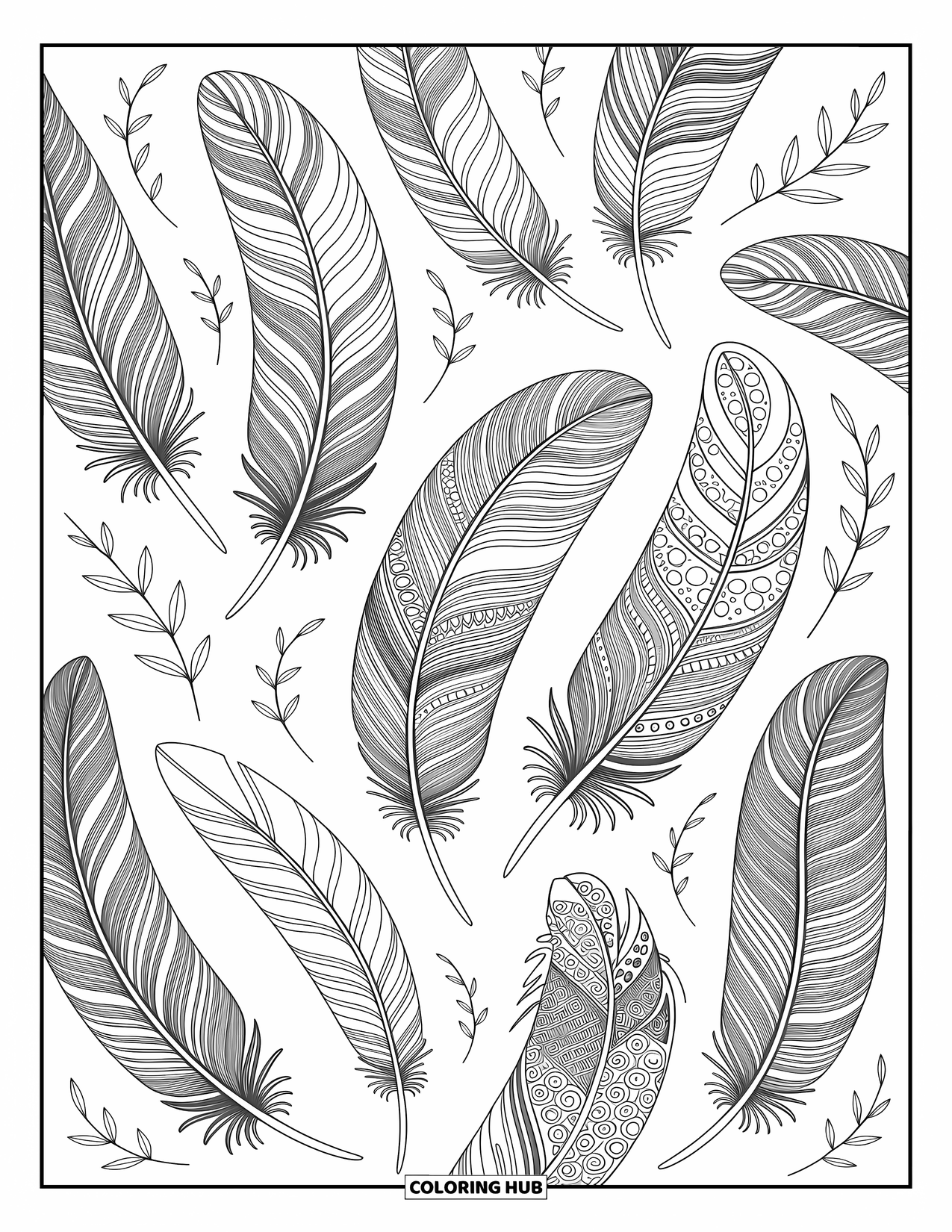 Feather Coloring Page for Adults: Feathers with floral patterns and swirling motifs