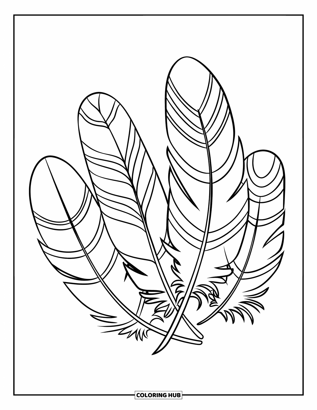 Feather Coloring Page Sketch Coloring Page Feather Coloring Page Sketch Coloring Page