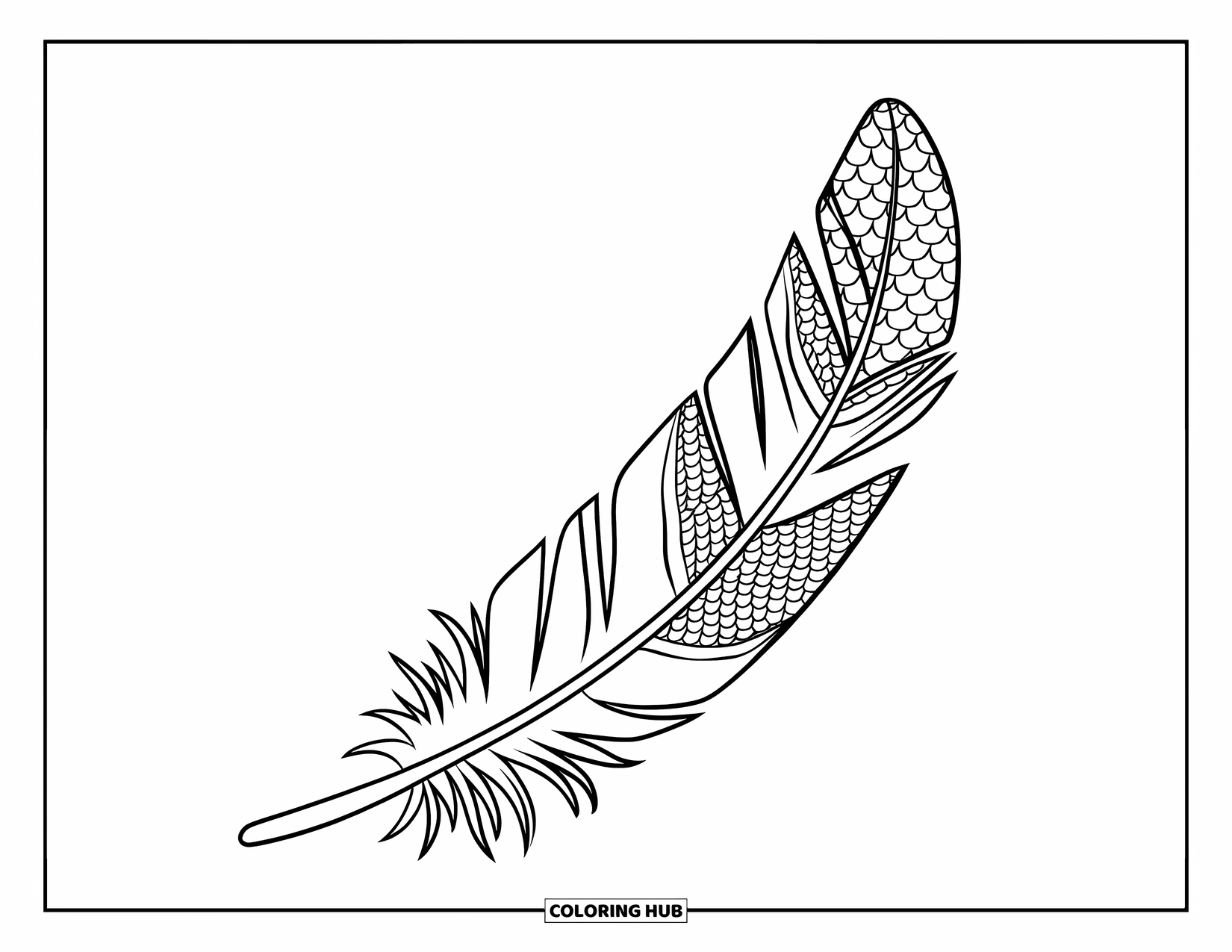 Feather Coloring Page for Kids: A feather adorned with small, dragon scale-like patterns