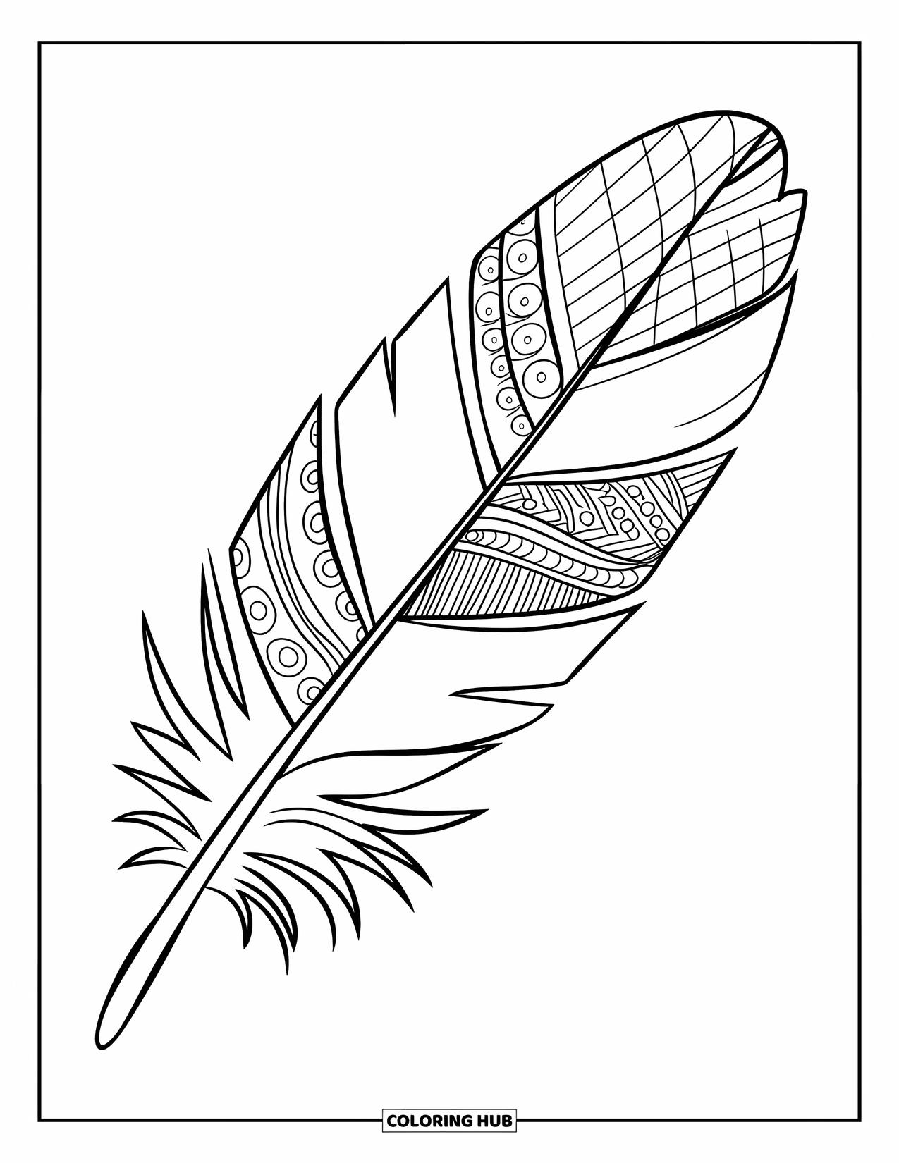 Feather Coloring Page for Kids: A feather divided into sections, each with a unique pattern