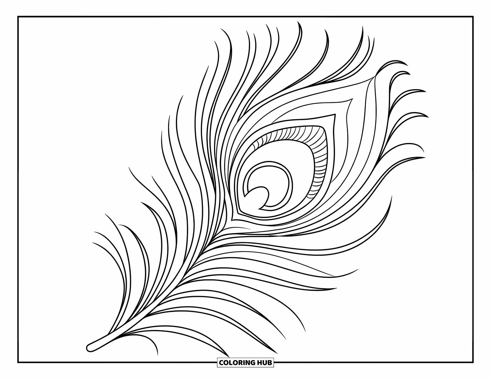 Feather Coloring Page for Kids: A peacock feather with a large eyespot and delicate inner patterns