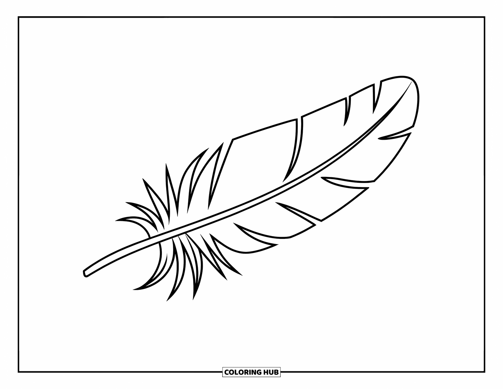 Feather Coloring Page for Kids: A plain feather split in half with a straight line