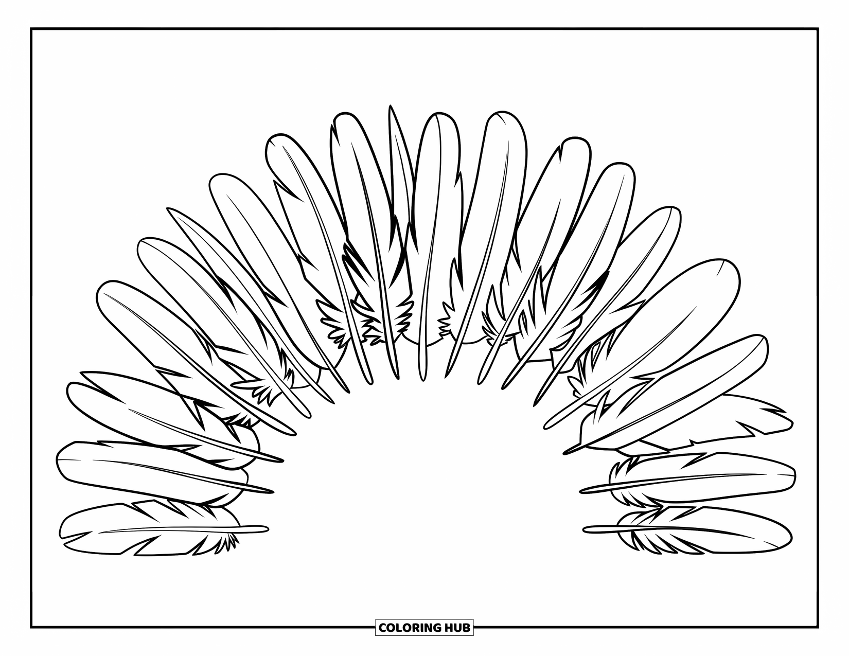 Feather Coloring Page for Kids: A semi-circle of feathers with different sizes and patterns