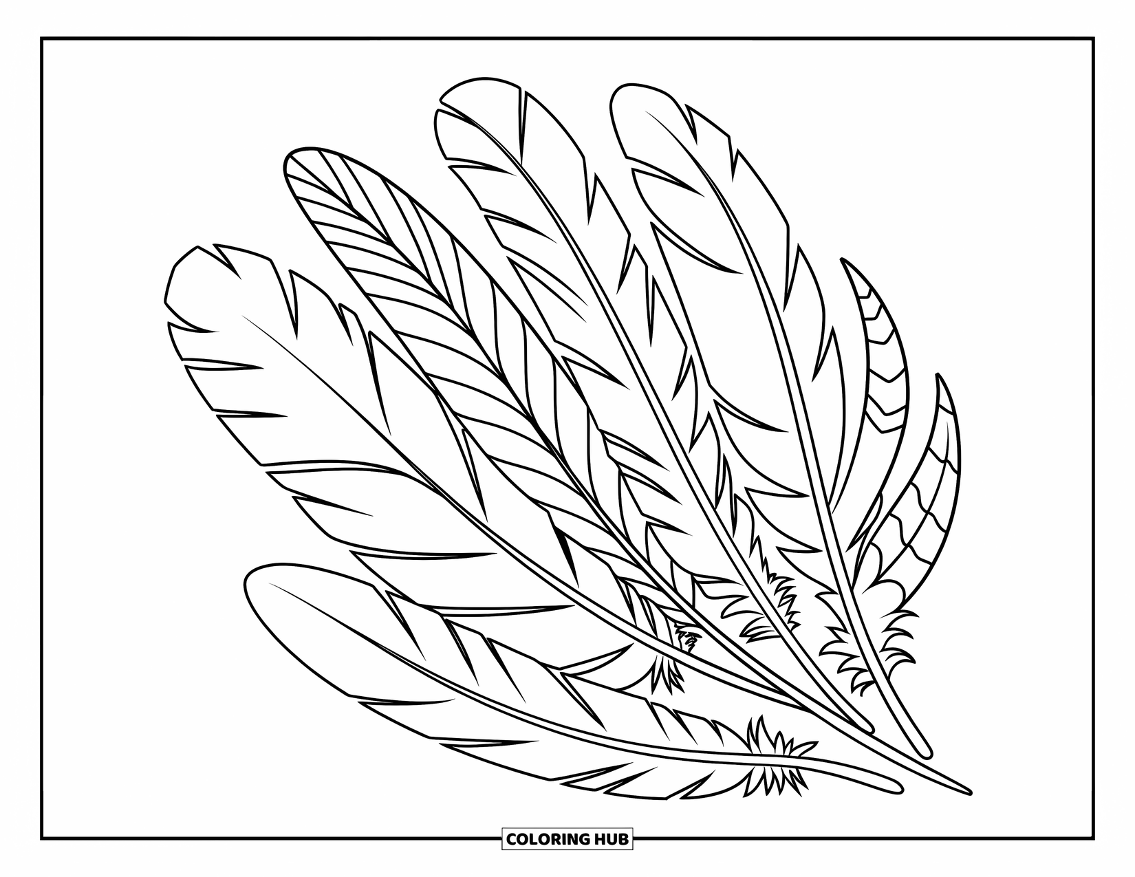 Feather Coloring Page for Kids: A set of feathers with unique patterns in a spiral layout