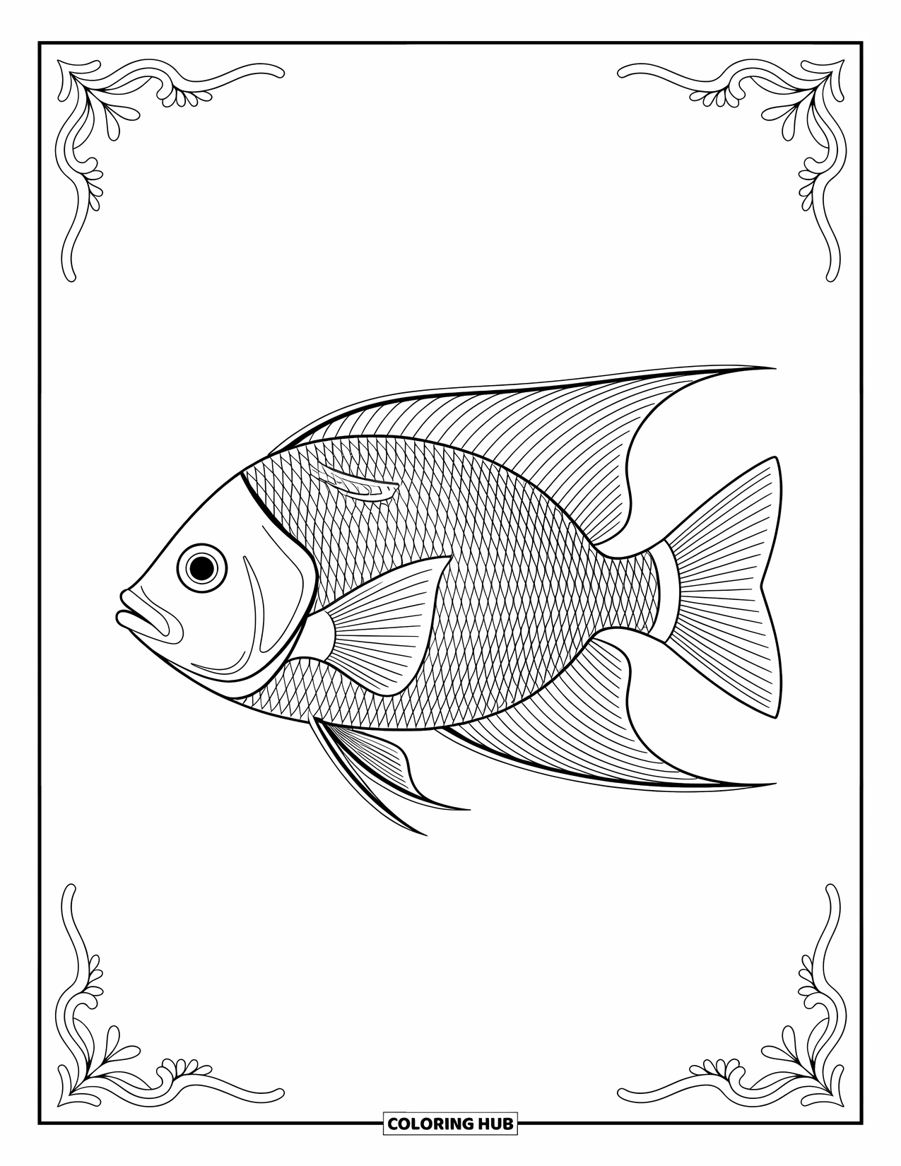 Disegno da colorare di pesci per adulti: Un elegante pesce tropicale con motivi delicati e simmetrici in un design audace