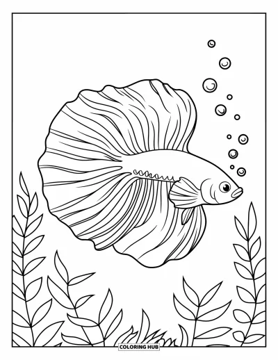 Fish Coloring Page for Kids: A betta fish swims in clear water, its tail trailing elegantly among floating bubbles
