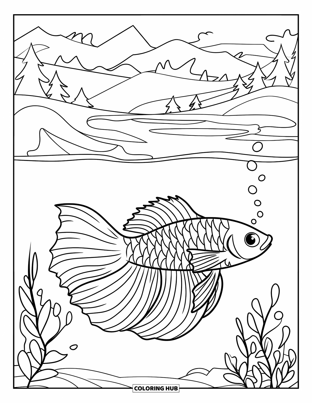 Disegno di pesce da colorare per bambini: Un pesce betta con una coda fluente nuota in acque calme, circondato da minuscole bolle