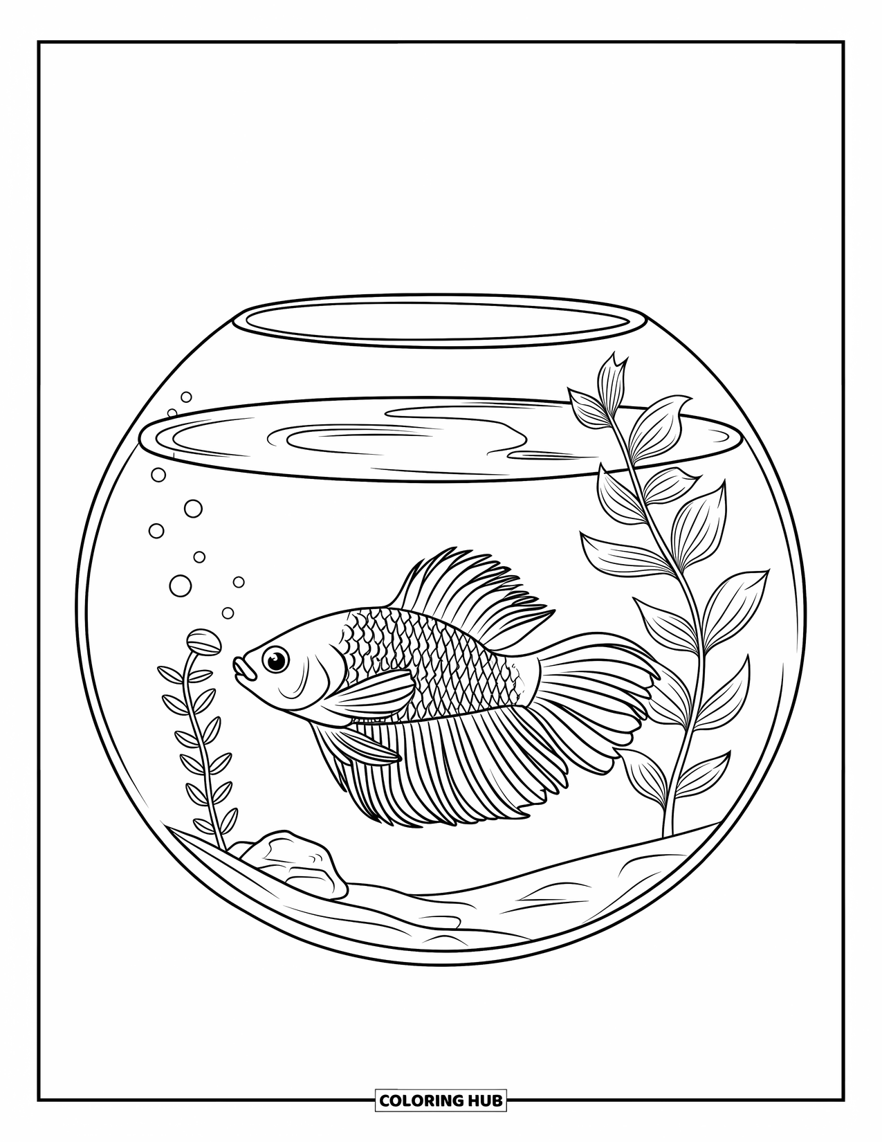 Disegno di pesce da colorare per bambini: Un pesce betta con una coda corta e ondulata nuota in una boccia per pesci con una piccola pianta