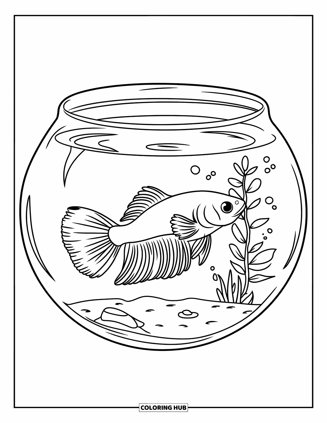 Disegno di pesce da colorare per bambini: Un pesce betta con una coda ondulata nuota all'interno di una boccia per pesci rotonda con una piccola pianta
