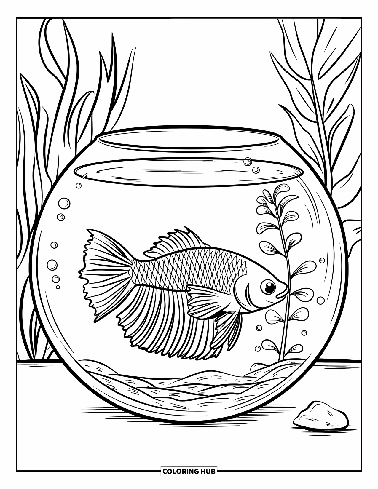 Disegno di pesce da colorare per bambini: Un grazioso pesce betta galleggia in una boccia per pesci rotonda con una singola pianta e una roccia liscia