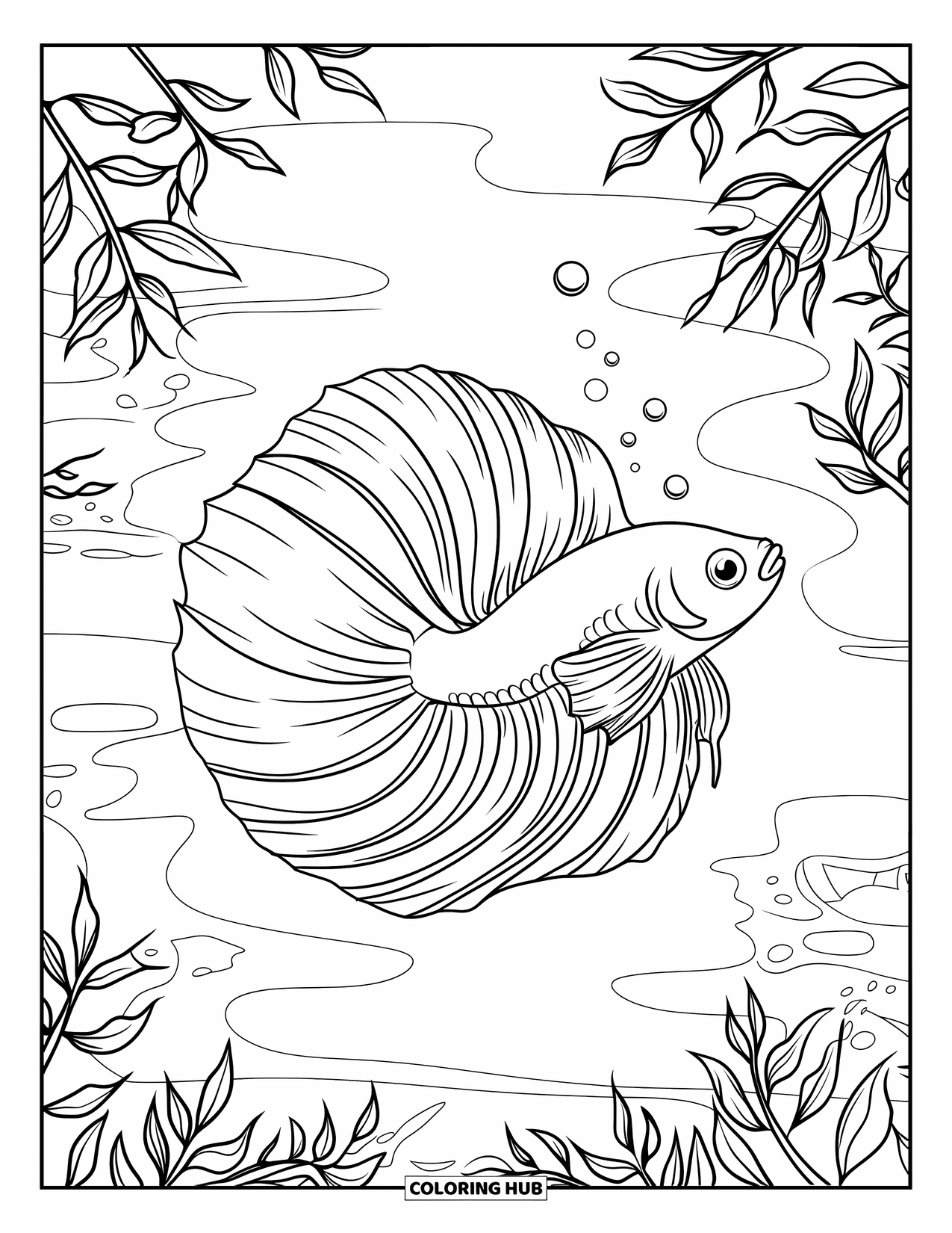 Disegno di pesce da colorare per bambini: Un grazioso pesce betta con lunghe pinne fluenti nuota attraverso un laghetto con bolle galleggianti