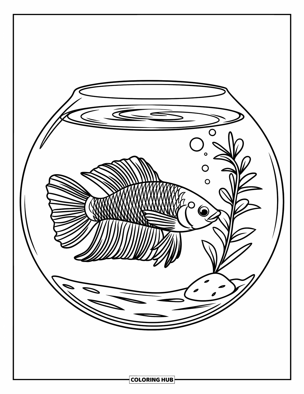 Disegno di pesce da colorare per bambini: Un piccolo pesce betta con pinne fluenti scivola all'interno di una boccia per pesci con una roccia e una pianta