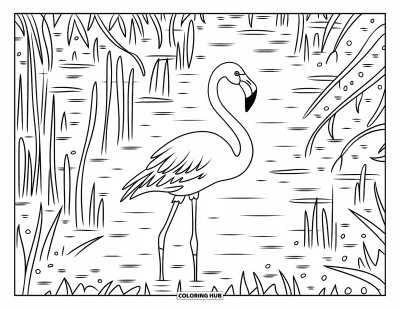 Flamingó kifestő felnőtteknek: Egy flamingó mocsárban áll nádszálakkal és mintás vízfelszínnel