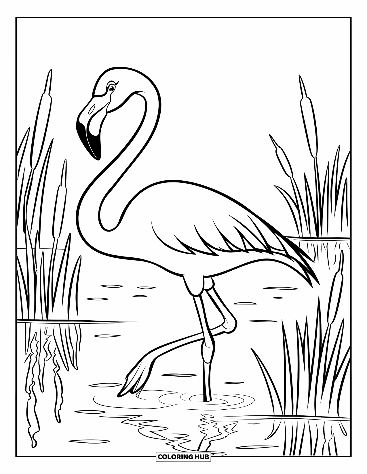 Flamingo Coloring Page for Kids: A flamingo stands in shallow water with reeds rising around it