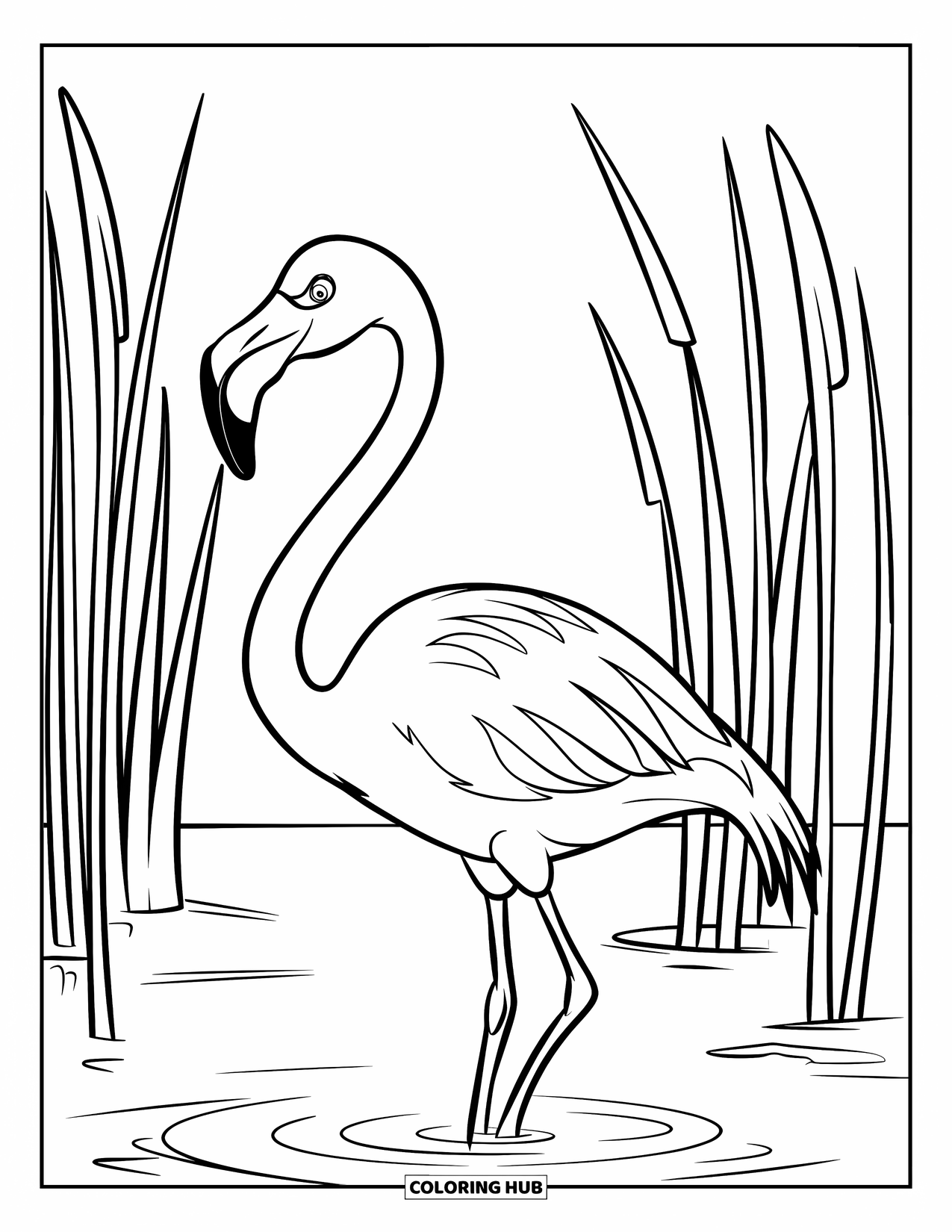 Flamingo Coloring Page for Kids: A flamingo with a long neck stands in water among tall reeds