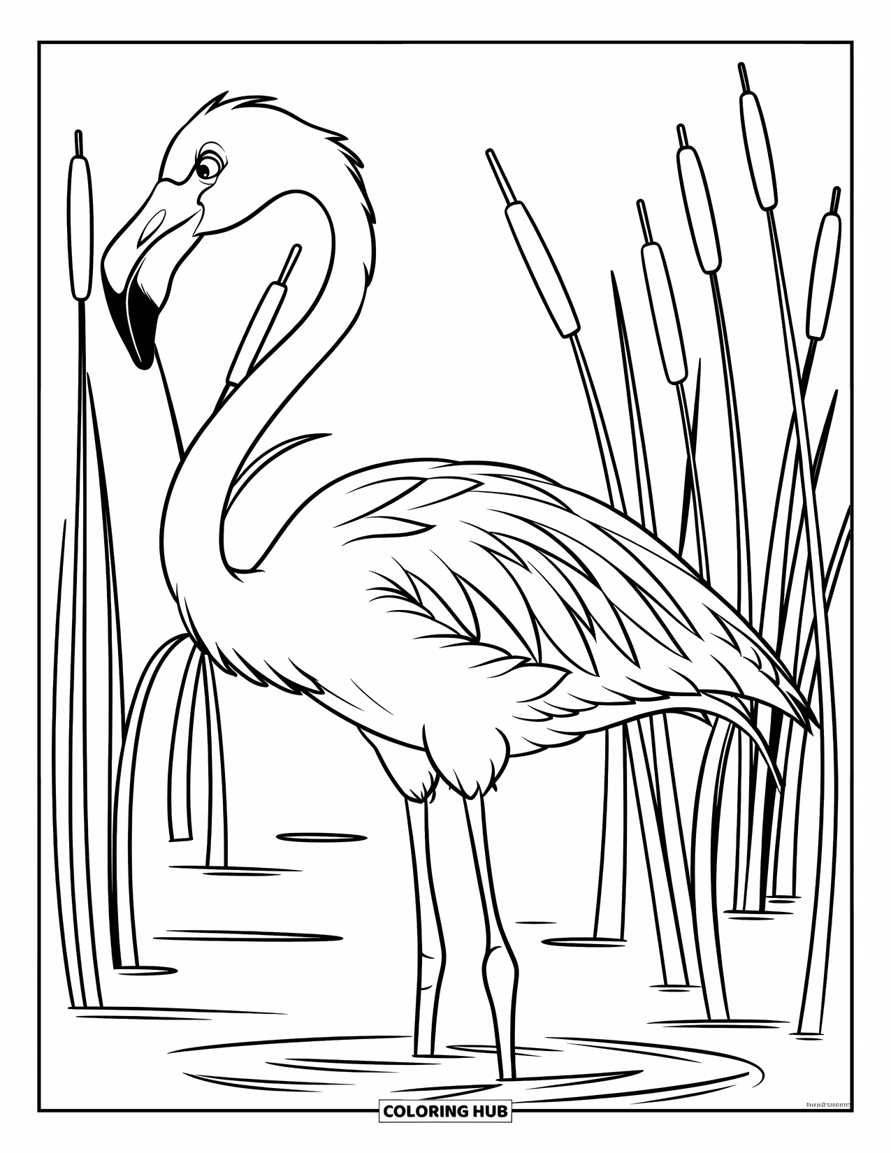 Flamingo Coloring Page for Kids: A flamingo with a long neck wades through water surrounded by tall reeds