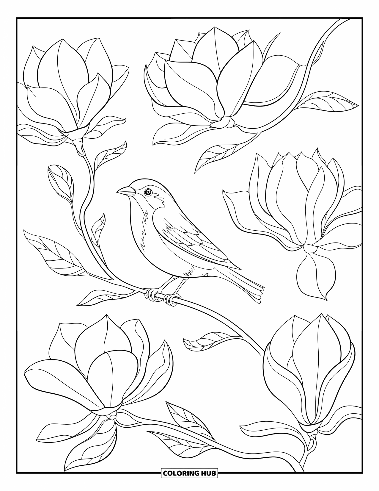 Blumen Ausmalbild für Erwachsene: Ein Vogel sitzt auf einem Ast, umgeben von Magnolienblüten mit geschwungenen Blättern