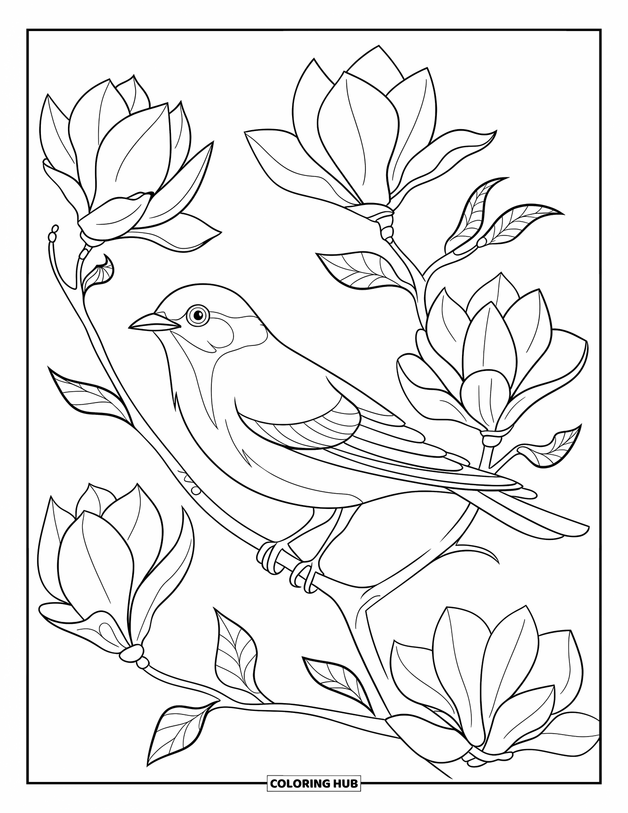 Bloemen Kleurplaat voor Volwassenen: Een vogel zit op een tak tussen bloeiende magnoliabloemen met ingewikkelde bloemblaadjes en bladeren