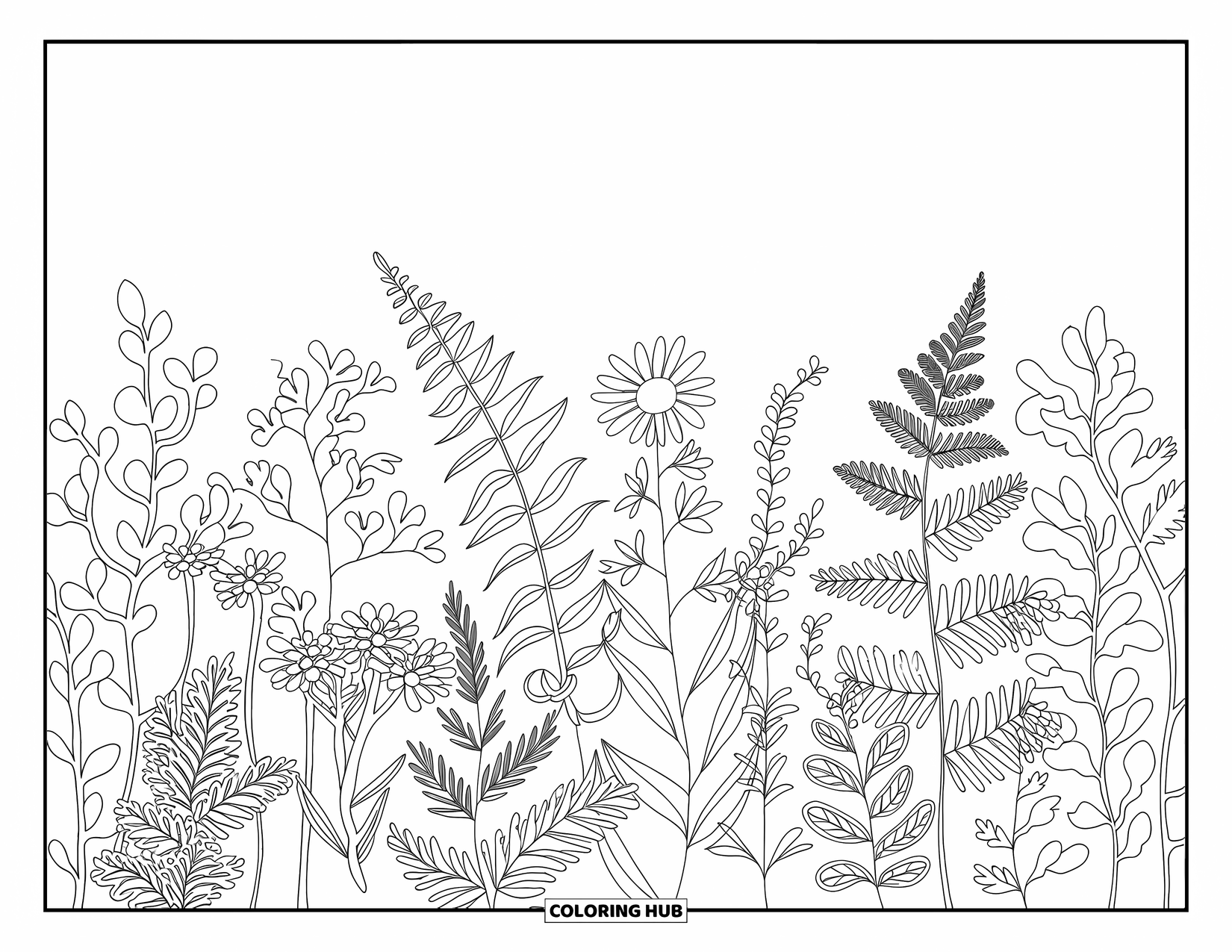 Blumen Ausmalbild für Erwachsene: Ein botanisches Arrangement aus Kräutern, Farnen und Wildblumen mit komplizierten Details und fließenden Designs