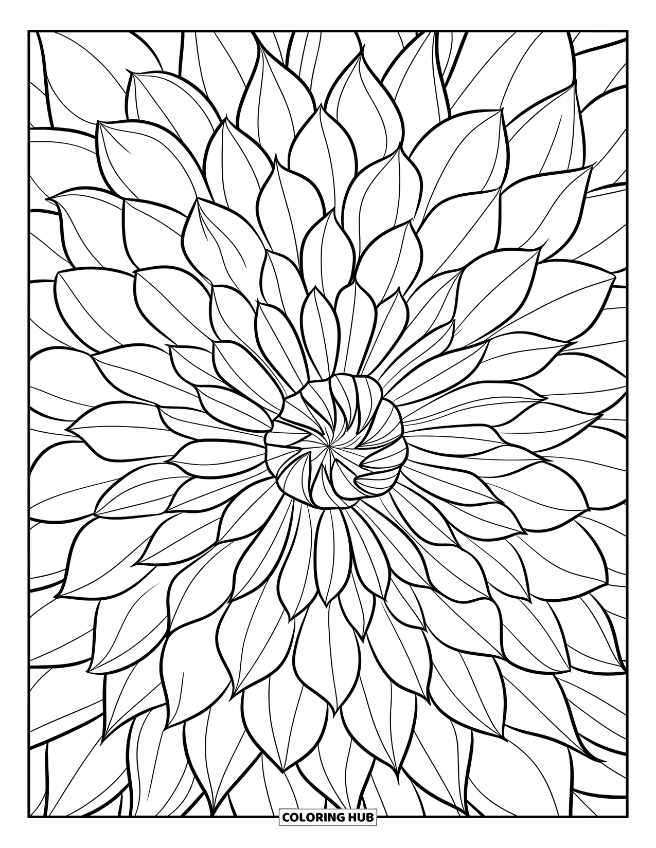 Blumen Ausmalbild für Erwachsene: Eine zentrierte Dahlie mit kompliziert überlappenden Blütenblättern, die ein atemberaubendes Blumendesign bilden