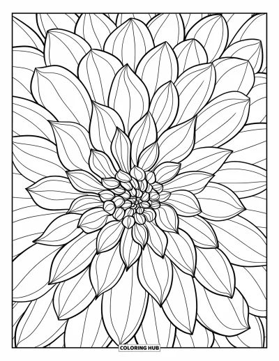 Desenho de flores para colorir para adultos: Uma dália detalhada com pétalas em camadas sobrepostas em padrão hipnotizante