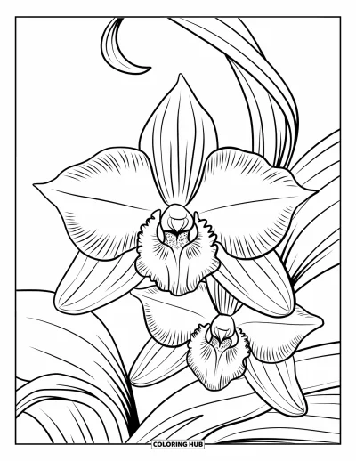 Desenho de flores para colorir para adultos: Uma orquídea de pétalas desenhadas com riqueza de detalhes, cercada por folhas elegantes e curvadas