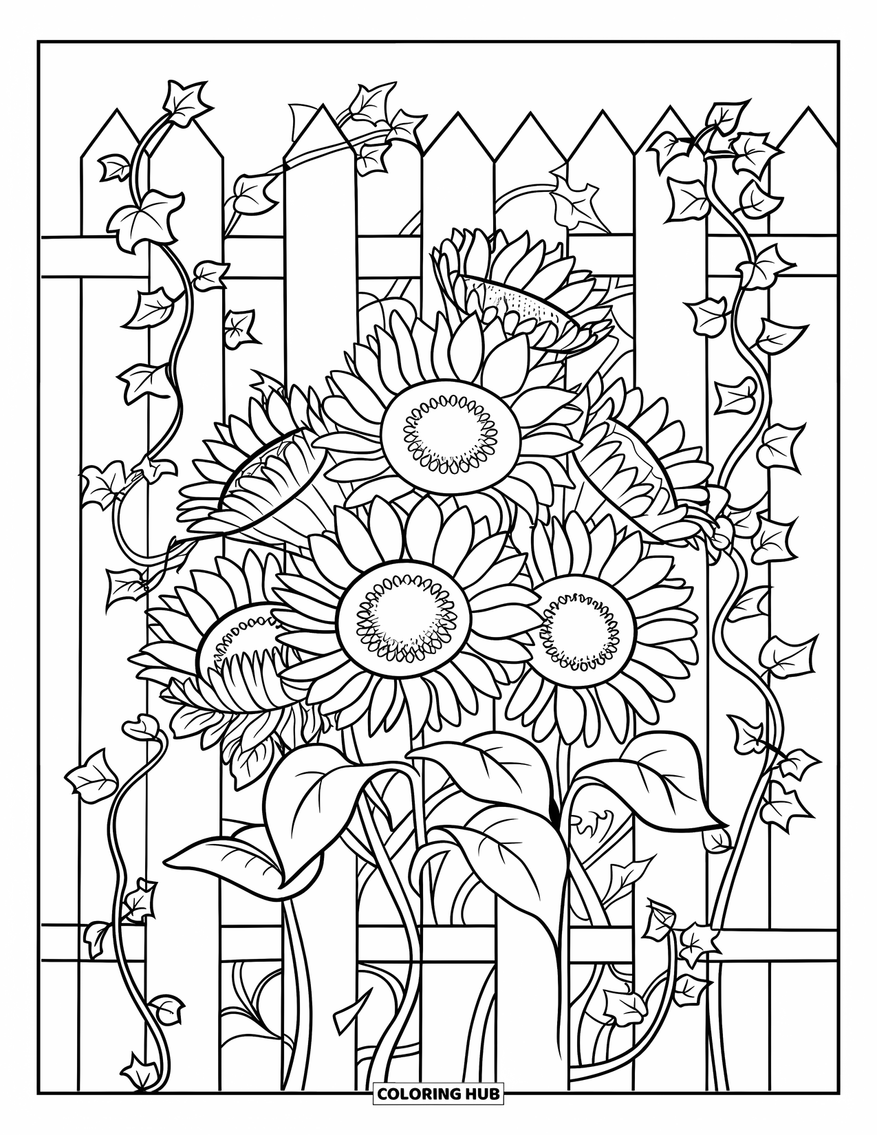 Blumen Ausmalbild für Erwachsene: Sonnenblumen mit kletterndem Efeu umwickeln Holzbalken und schaffen eine wunderschön geschichtete Blumenszene