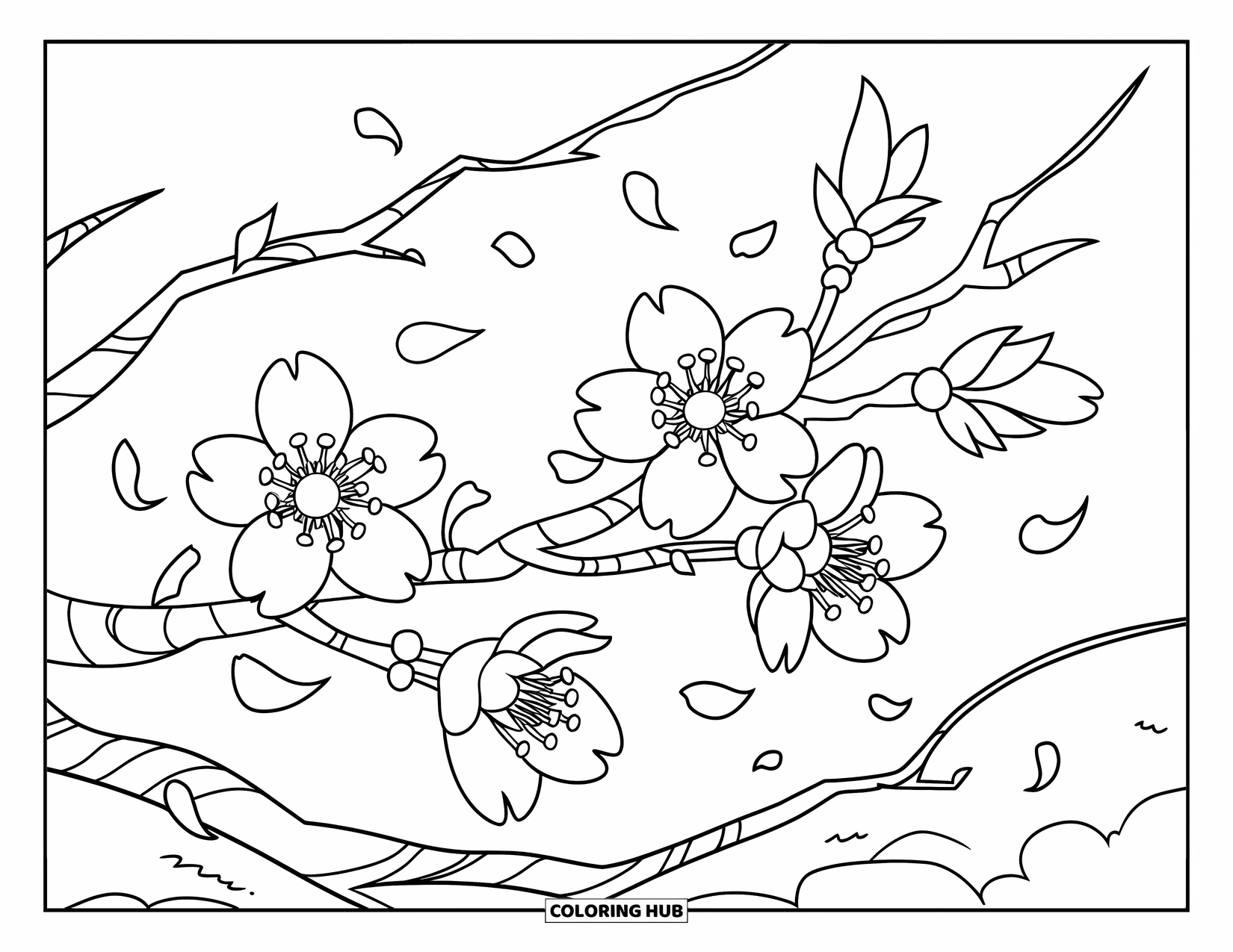 Blumen Ausmalbild für Kinder: Ein blühender Kirschblütenzweig, bei dem Blütenblätter zu Boden treiben