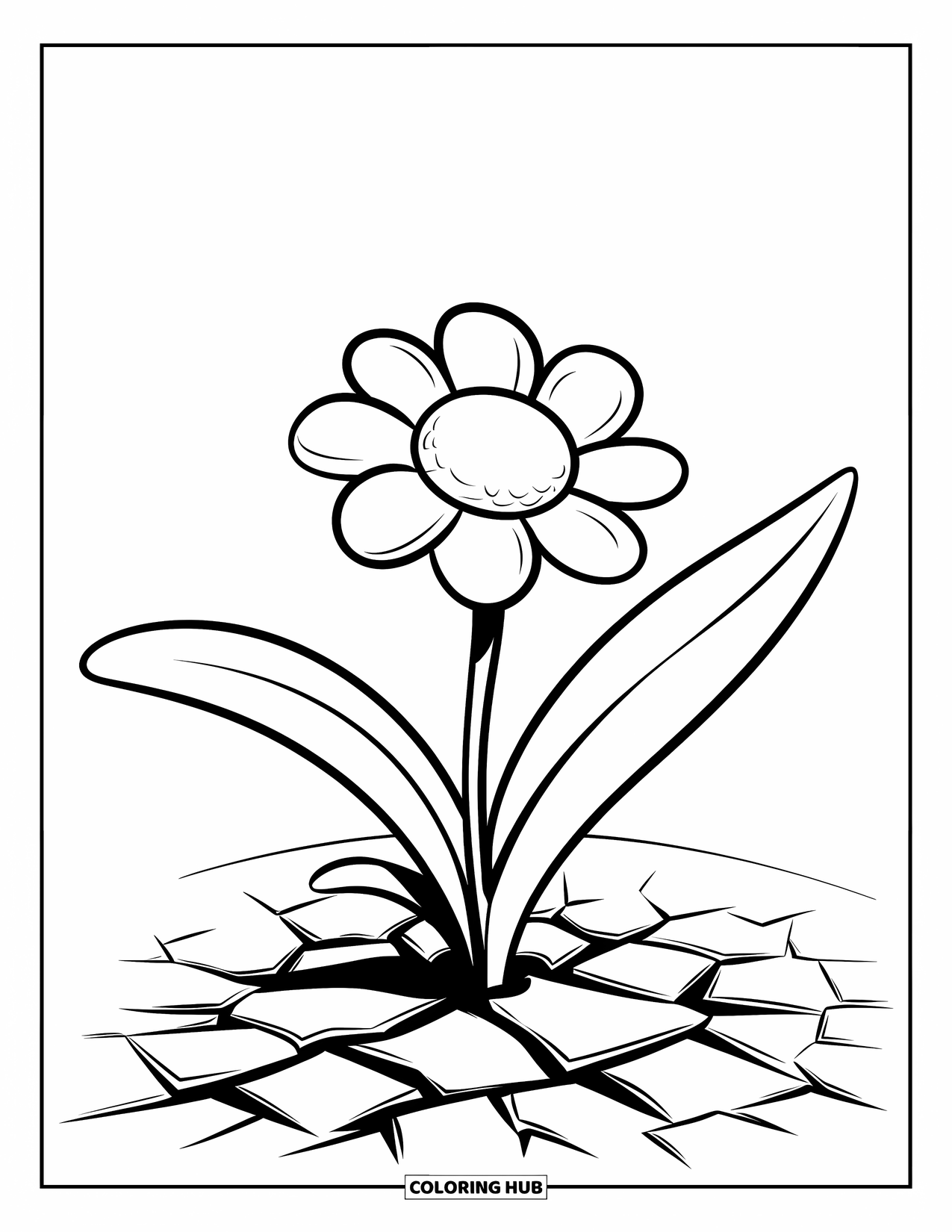 Blumen Ausmalbild für Kinder: Eine blühende Blume mit geschichteten Blütenblättern und breiten Blättern, die aus trockenem, rissigem Boden sprießen