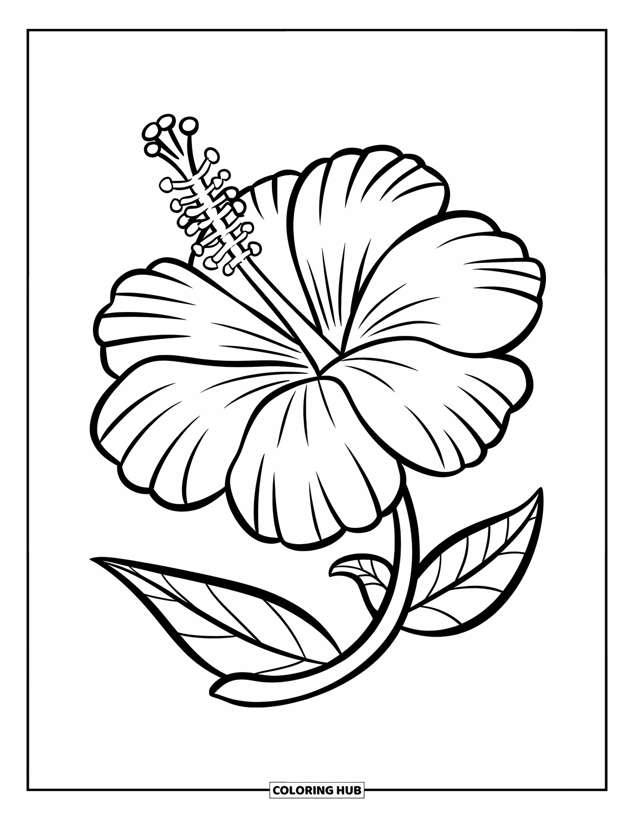 Blumen Ausmalbild für Kinder: Ein blühender Hibiskus mit zarten, geschichteten Blütenblättern und einem anmutig gebogenen Blatt