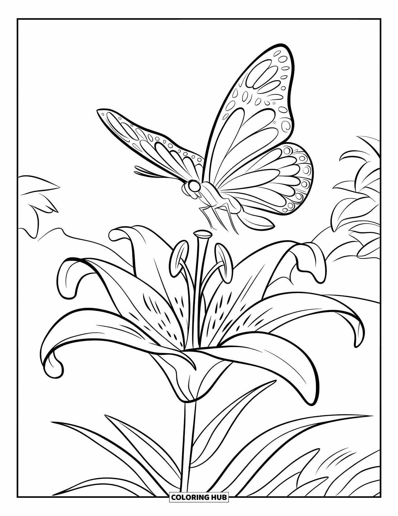 Blumen Ausmalbild für Kinder: Eine blühende Lilie mit einem Schmetterling, der darüber schwebt, gezeichnet mit einem einfachen und klaren Layout