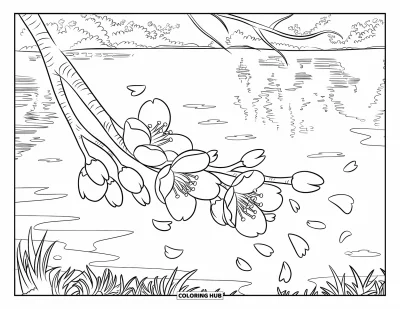 Desenho de flores para colorir para crianças: Um galho cheio de flores de cerejeira, com pétalas suaves flutuando no ar