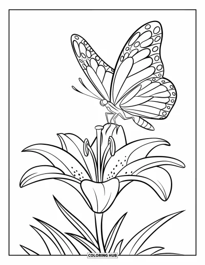 Desenho de flores para colorir para crianças: Uma borboleta voa suavemente sobre um lírio, com folhas na base, em um traço nítido