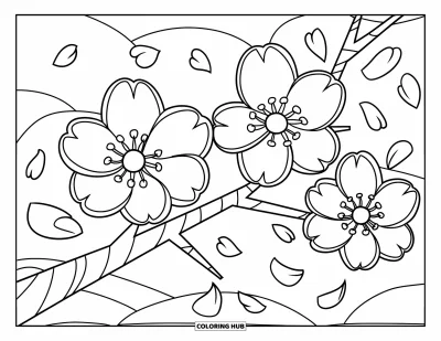 Desenho de flores para colorir para crianças: Uma cerejeira florida com grandes flores e pétalas caindo ao redor