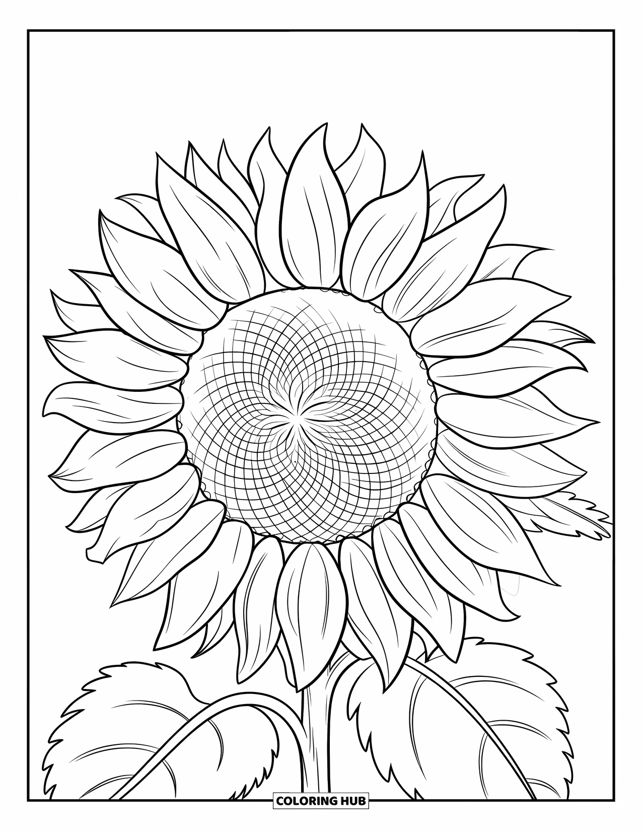 Blumen Ausmalbild für Kinder: Eine Nahaufnahme einer Sonnenblume mit einem Spiralzentrum und detaillierten Blütenblättern in einem kräftigen, klaren Design