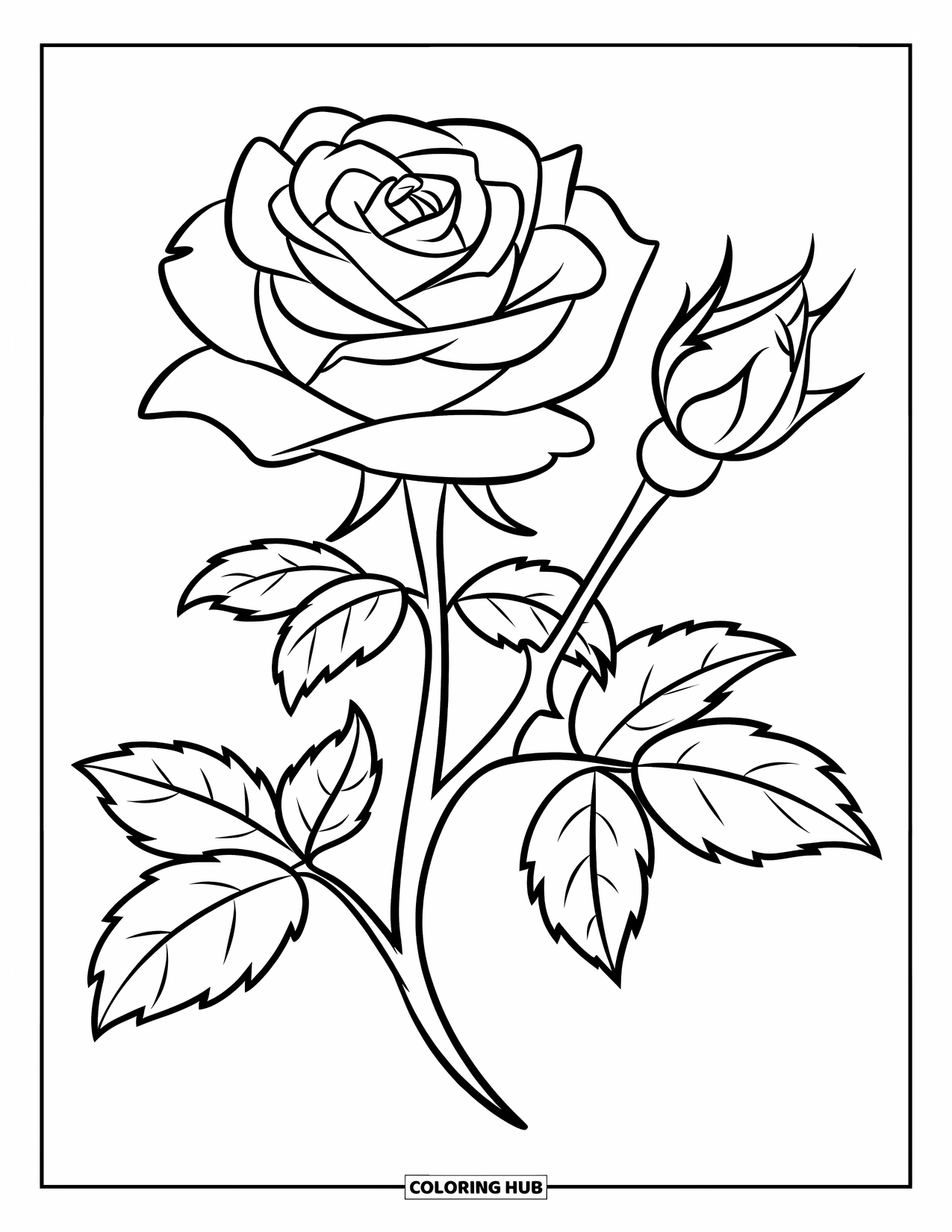 Blumen Ausmalbild für Kinder: Eine detaillierte Rose mit zwei Knospen und einem stabilen Stiel, vor einem sauberen, weißen Hintergrund