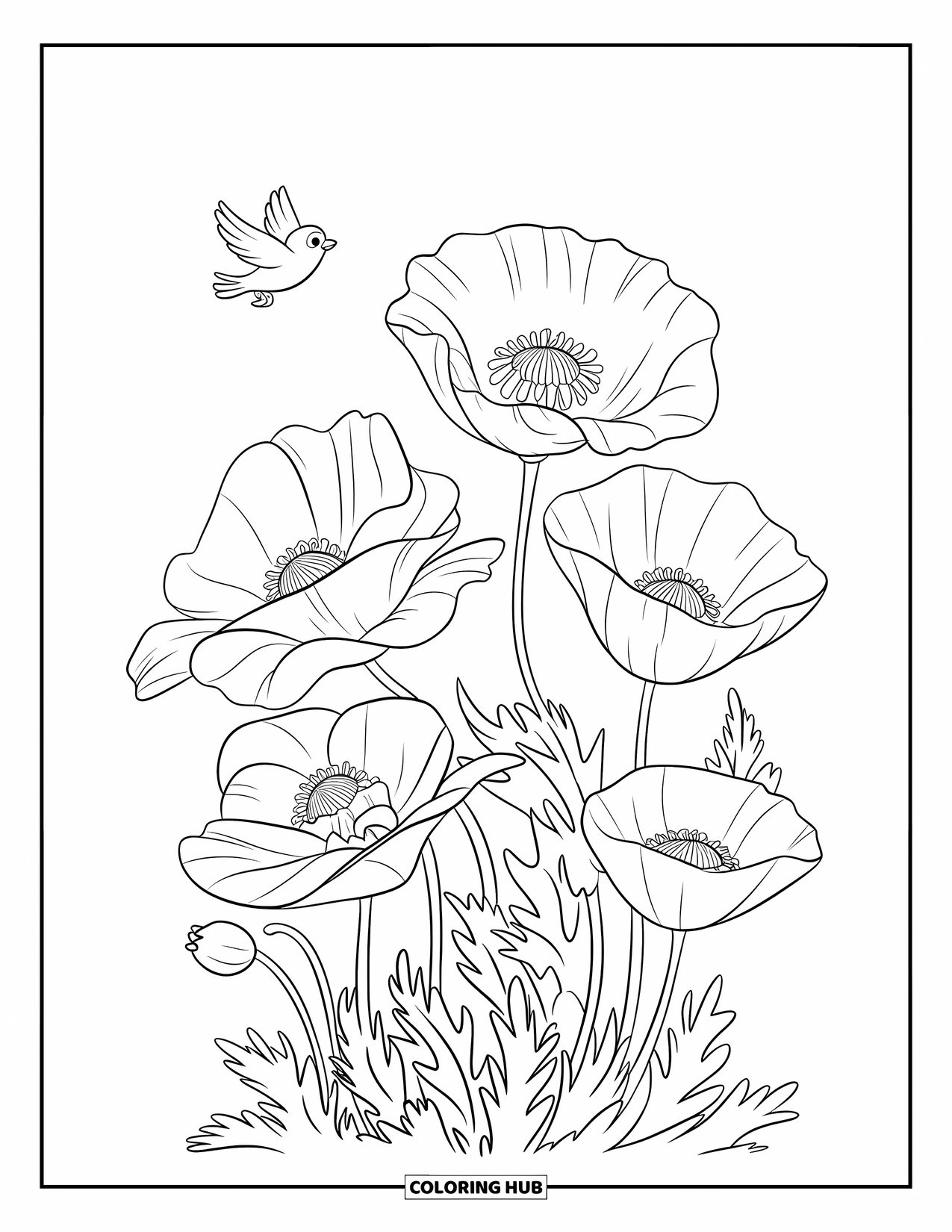 Blumen Ausmalbild für Kinder: Eine Gruppe von Mohnblumen mit zarten Blütenblättern, begleitet von einem Vogel, der in der Nähe fliegt
